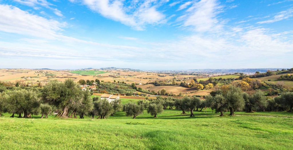 Montefiore Cartoceto Italian Countryside